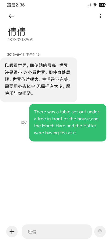 简约ins 春日之约 screenshot