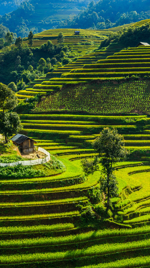 Terraces in Yunnan screenshot