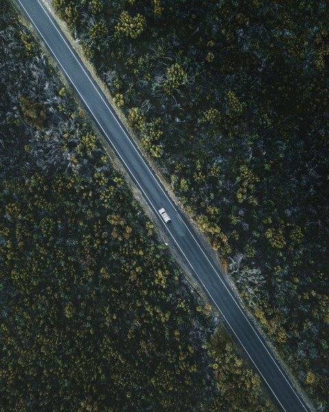 Editor's Pick screenshot