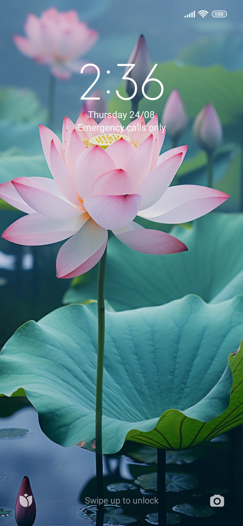 Lotus screenshot