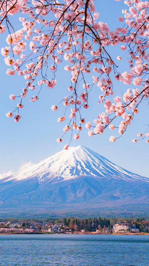 Who can own mount fuji by love screenshot
