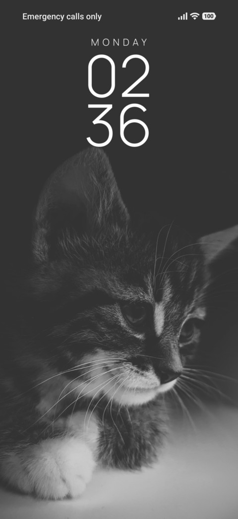 Tiny Whisk screenshot