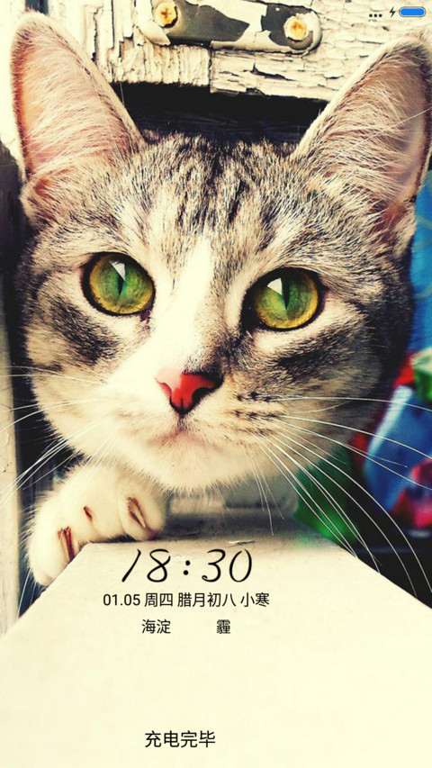可爱猫咪 screenshot