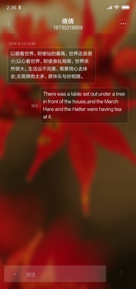 枫林晚 screenshot
