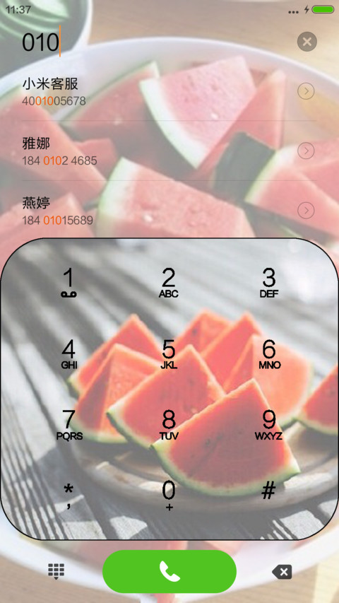 【纯简】西夏（隐藏瓜子解锁） screenshot