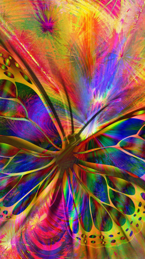 Butterfly (2) screenshot