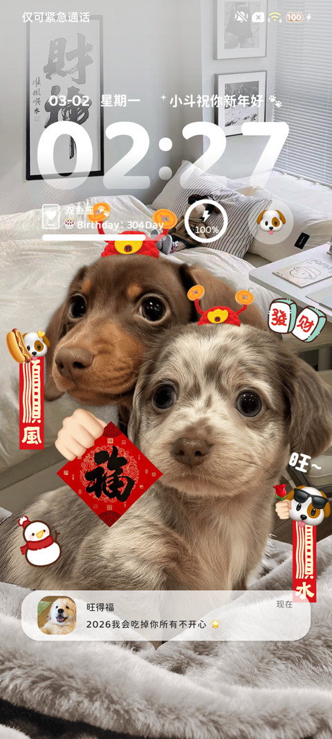 ins新年小狗送福 screenshot