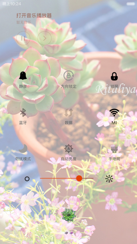多肉主题2（多锁屏+全图标覆盖） screenshot