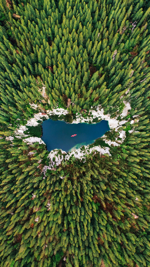 A bird seye view of the trees by the lake screenshot