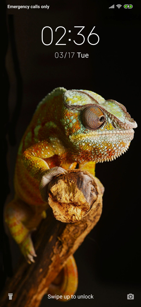 Chameleon_3MDS screenshot