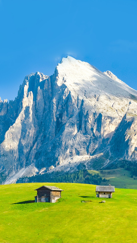 View on Sassolungo from Saiser Alm screenshot
