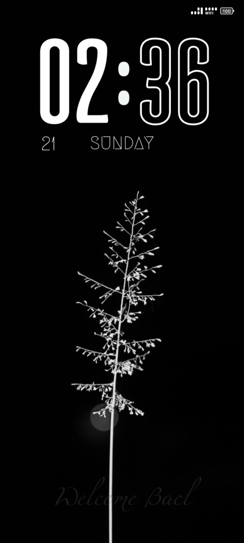White Flower screenshot