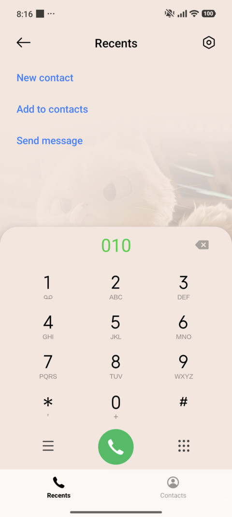 Basketball Cat screenshot