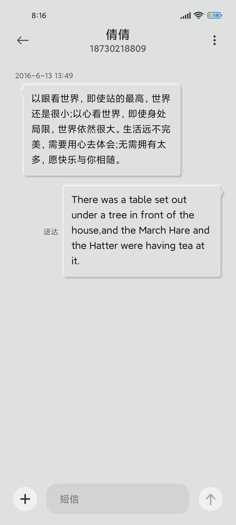 拟态液晶数码 screenshot