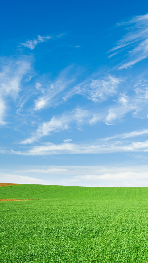 Green eye protection prairie wallpaper screenshot
