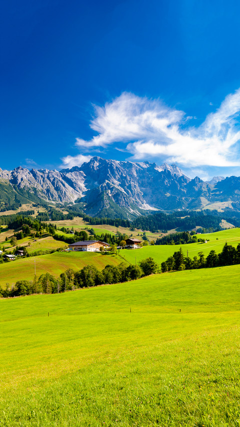 Summer in the Alps screenshot