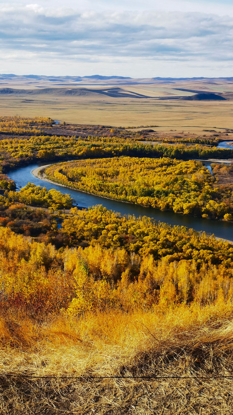 Golden autumn in hulun buir screenshot