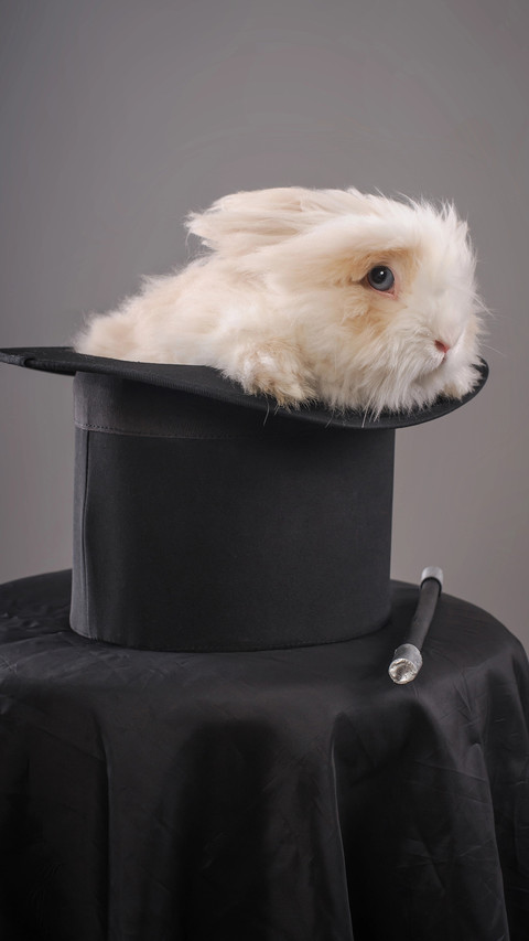 Lop-eared rabbit screenshot