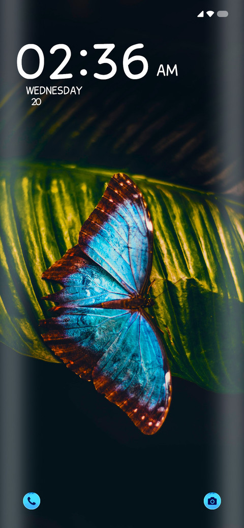 Butterfly screenshot