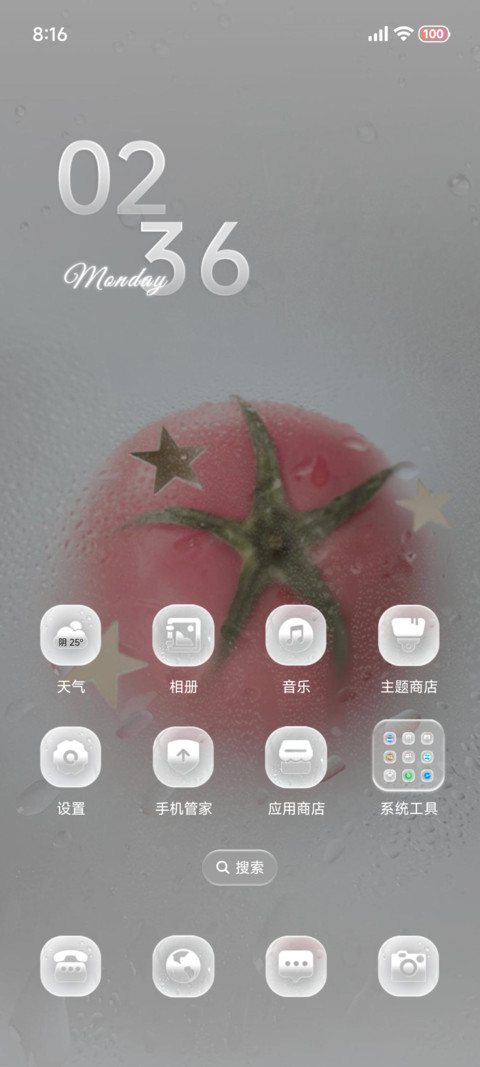 番茄花束赴夏 screenshot
