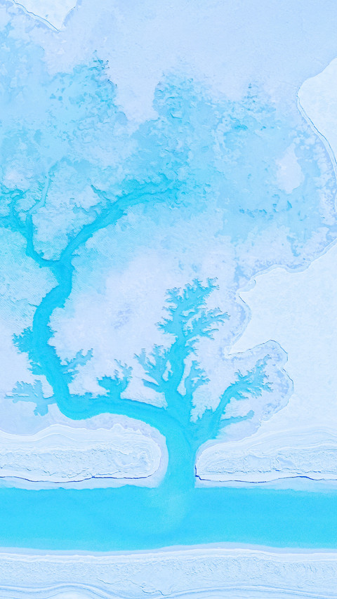 How magical are the trees in the salt lake screenshot