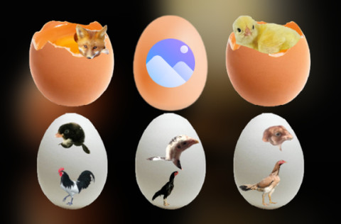 Egg Chick screenshot