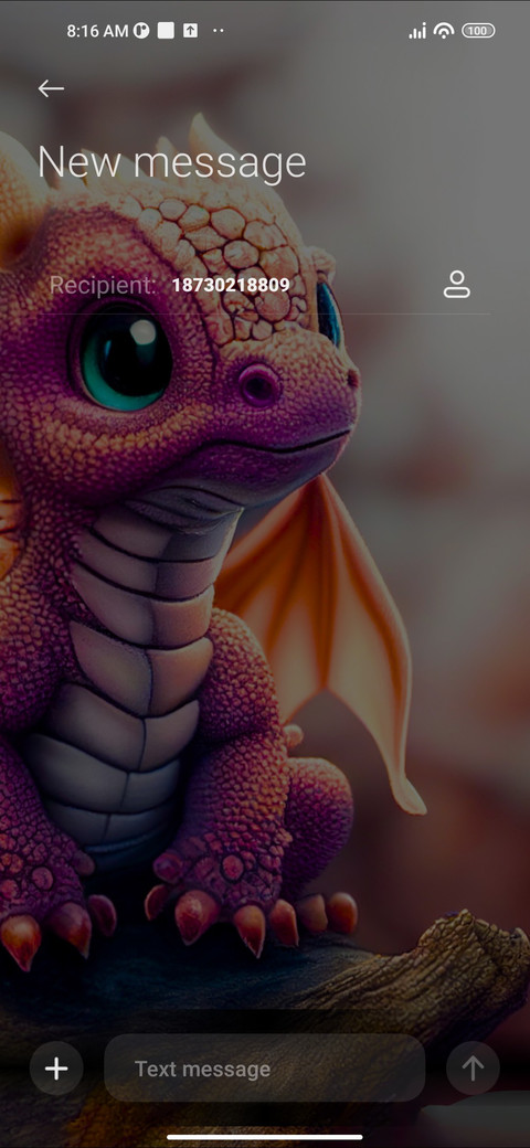 Fire Dragon screenshot