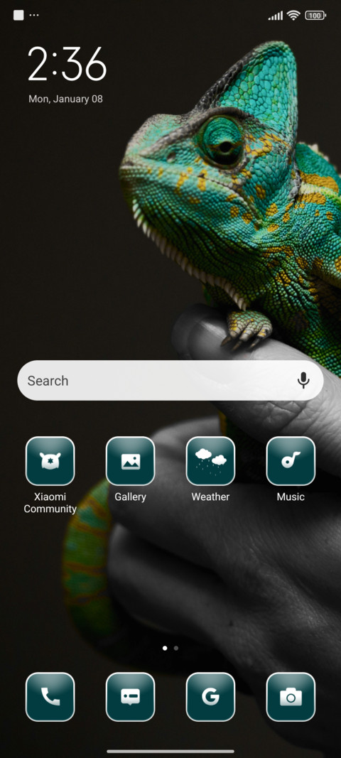 Reptile screenshot