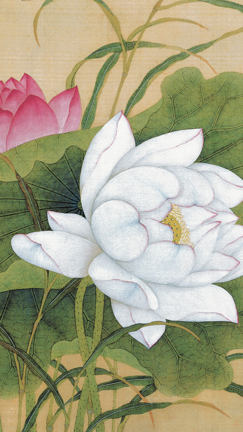 宫廷画家余樨的花鸟艺术 screenshot