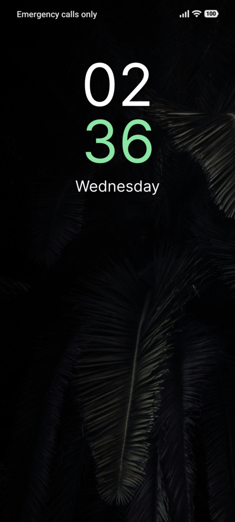 Night Palmtree screenshot