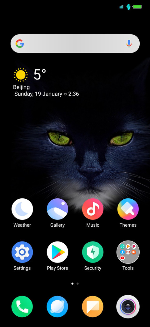 Dangerous Cat screenshot