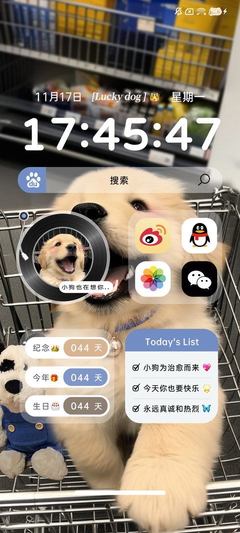 ins治愈购物金毛 screenshot