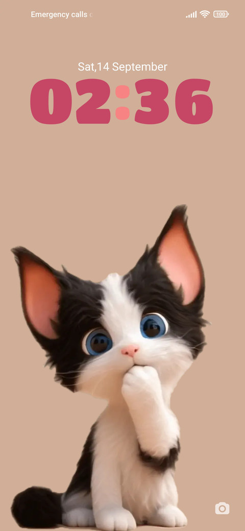Devon cat screenshot