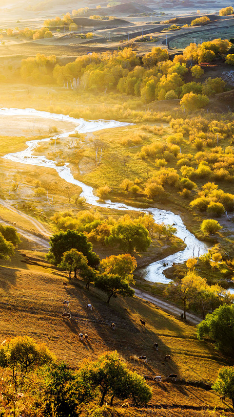 Autumn comes to the bashang area screenshot