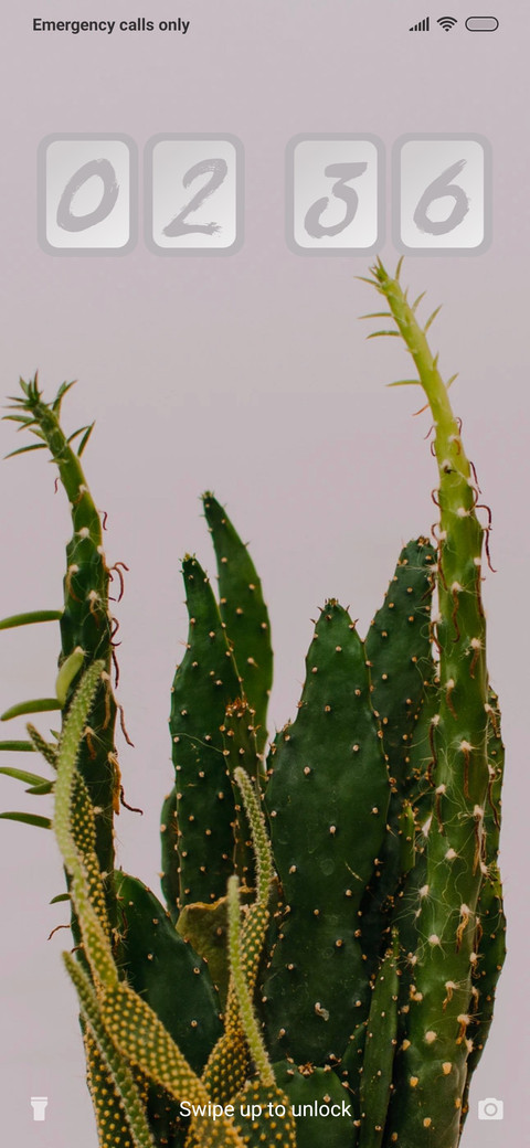 Minimal_Cactus_3MDS screenshot