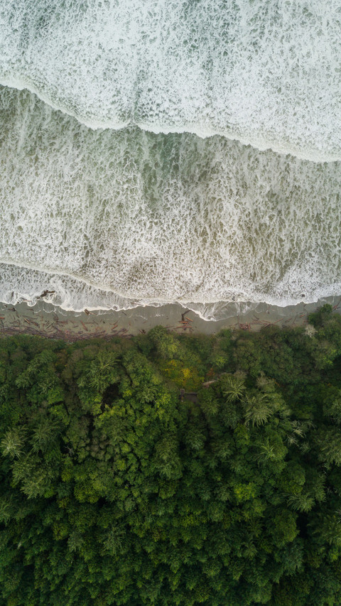 Pine&SeaWallpaper screenshot