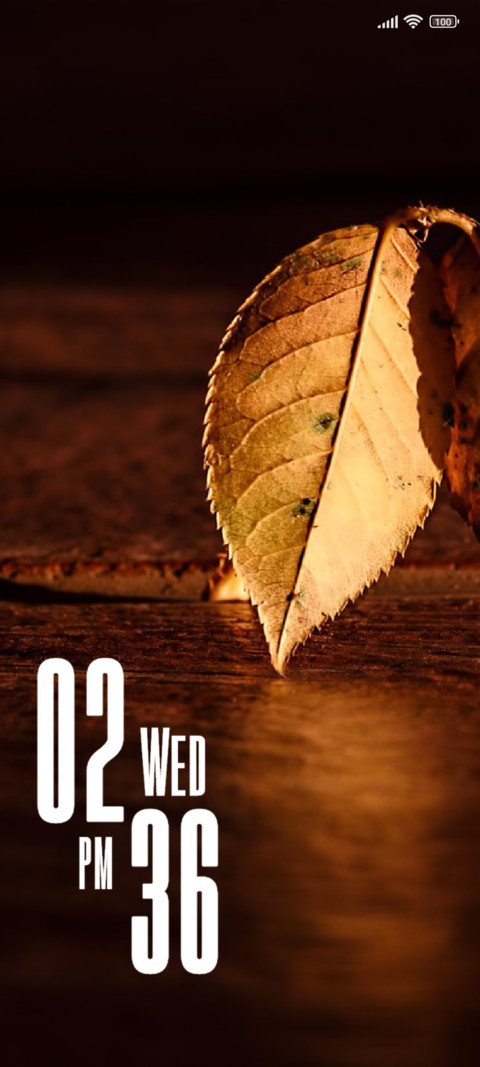 Leaf screenshot