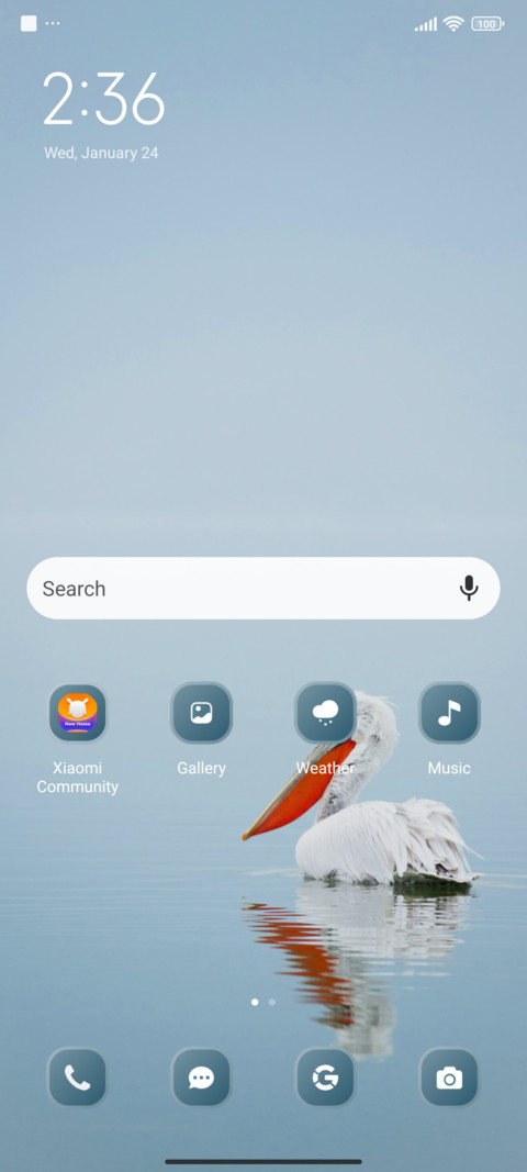 Nature Beauty screenshot
