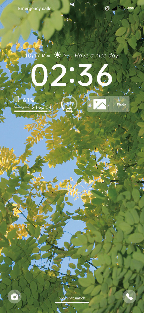 Fresh green leaves screenshot