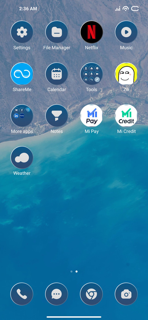 Beach Clean screenshot