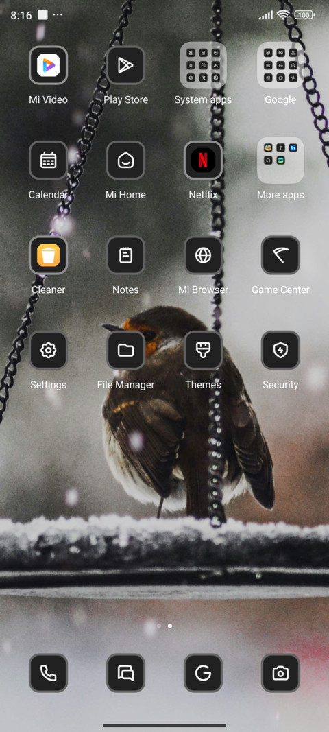Winter bird screenshot