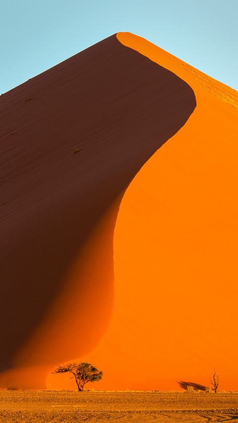 狂野纳米比亚 screenshot