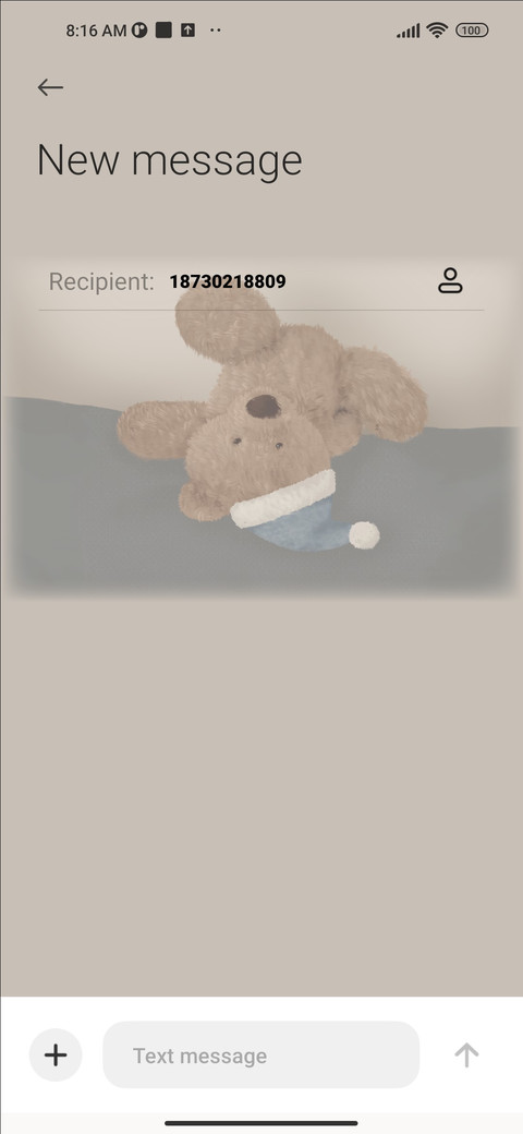 Cute Bear screenshot