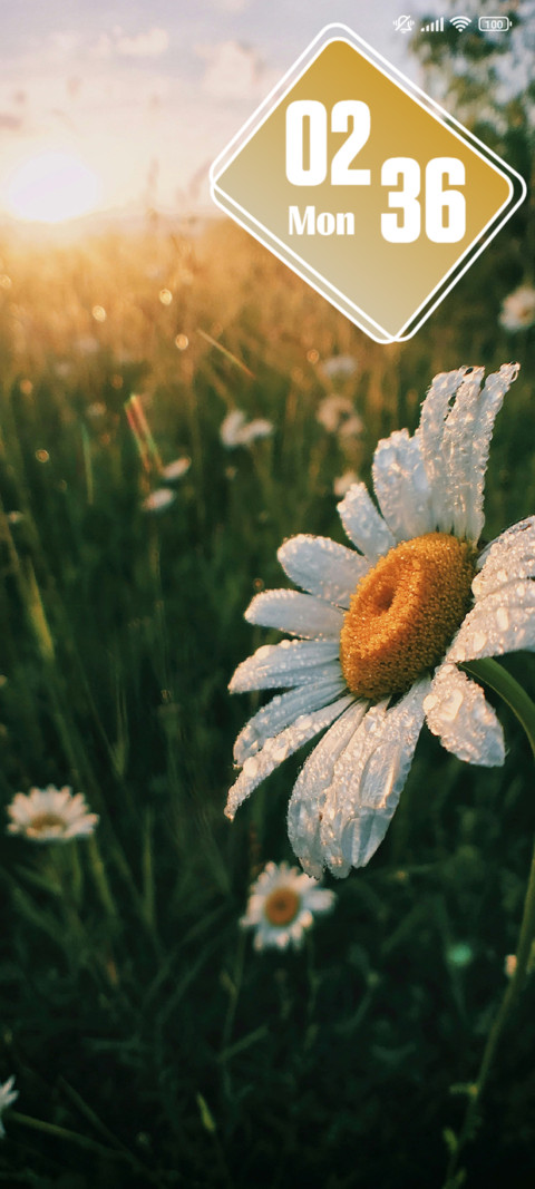 Daisy screenshot