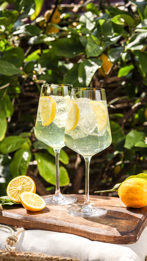Nourishing lemon water for removing dampness and clearing screenshot