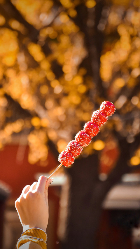 A bunch of Tomatoes on sticks in winter screenshot
