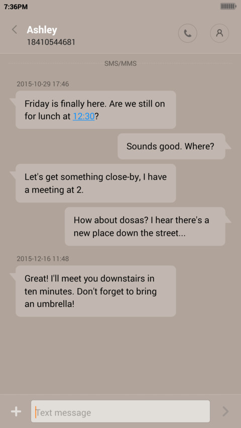 Zemvlem screenshot