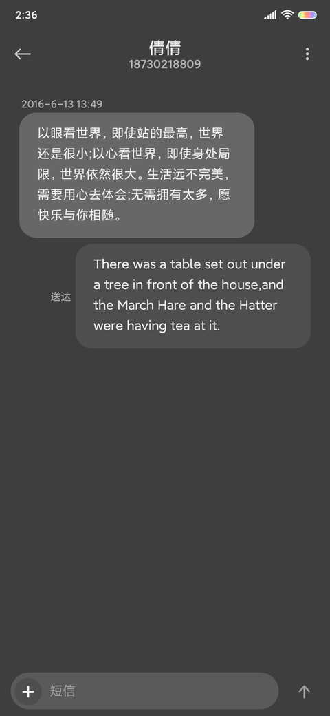 轻简 新拟态 screenshot