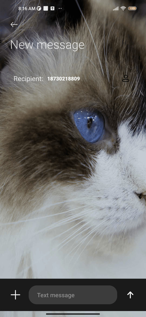 Fur cat screenshot