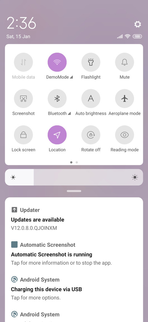 dynamic screenshot